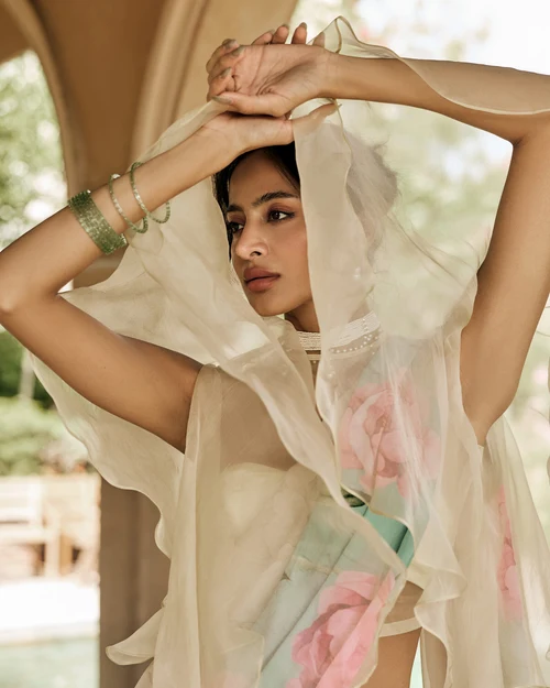 Beige and Blue Printed Chiffon Saree